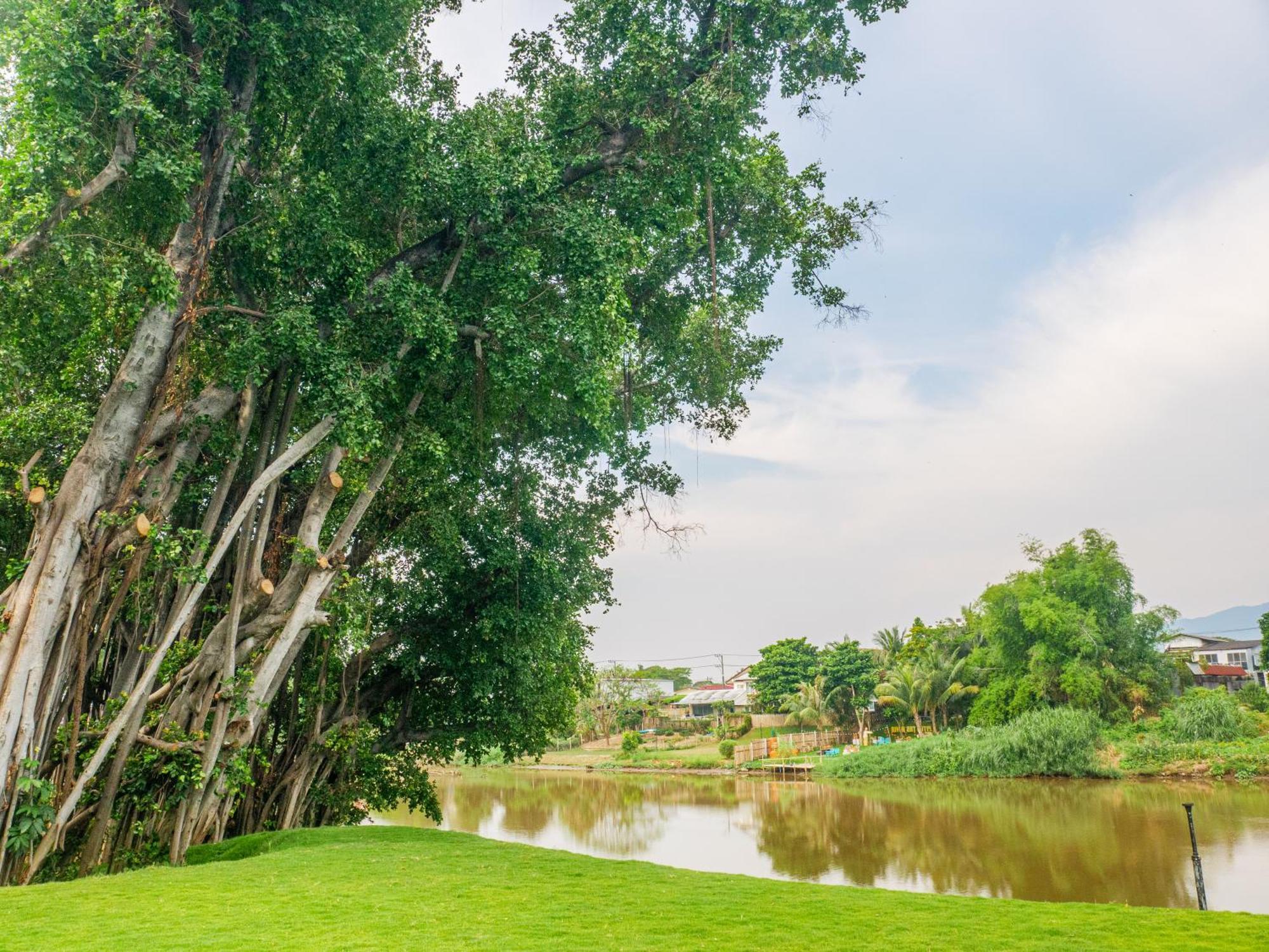 S48 River Ping — Photos 2